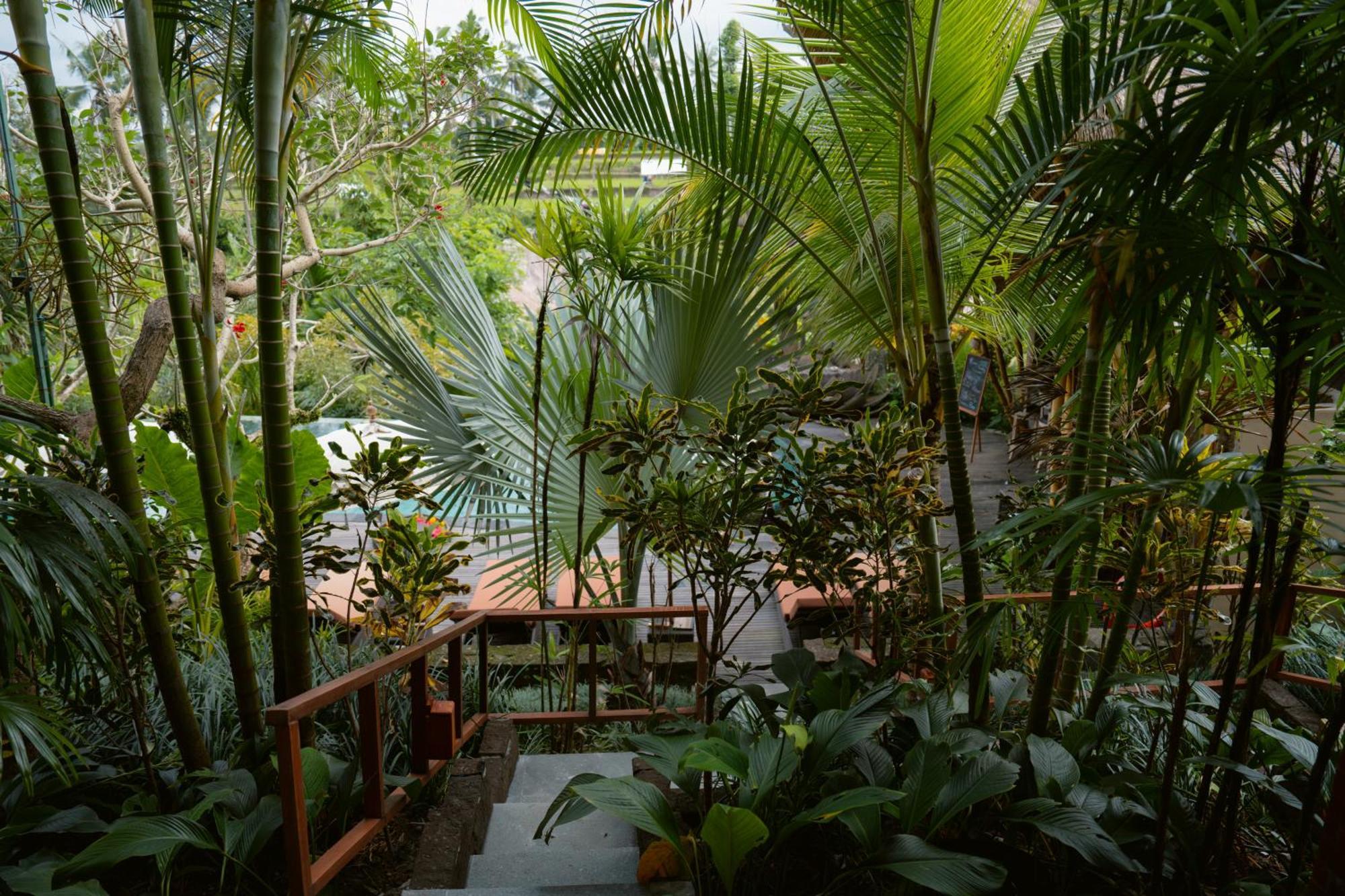 เดอะ ซัน เฮฟเว่น อูบุด บาย อินารา - ผ่านการรับรอง Chse Hotel ภายนอก รูปภาพ